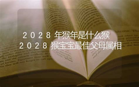 2028是什么年|2028年属什么 2028年属什么生肖的宝宝